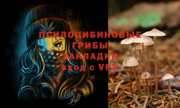 соль курить ск Алзамай