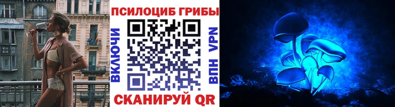 купить наркоту  Катав-Ивановск  Псилоцибиновые грибы мицелий 