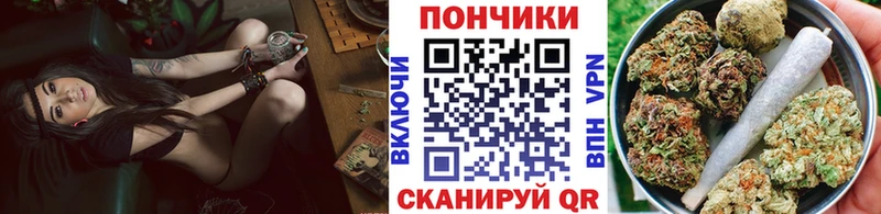 Бошки Шишки VHQ  цены наркотик  Катав-Ивановск 
